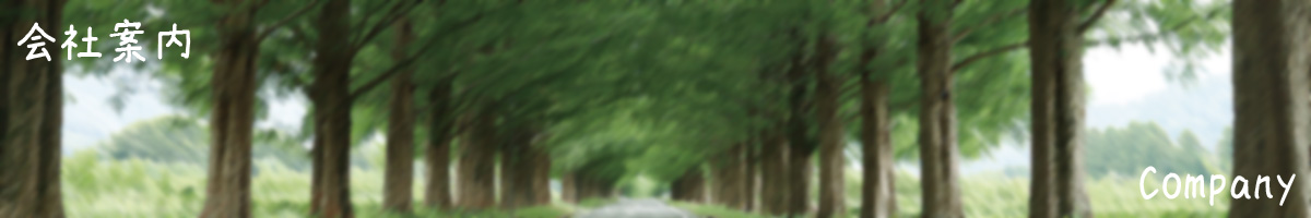 会社案内|こころの訪問看護ステーション・パレット